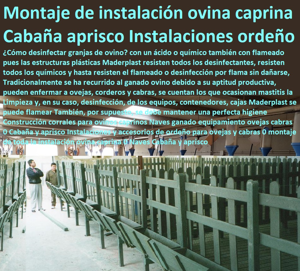 Construcción corrales para ovinos caprinos Naves ganado equipamiento ovejas cabras 0 Cabaña y aprisco Instalaciones y accesorios de ordeño para ovejas y cabras 0 montaje de toda la instalación ovina caprina 0 Naves aprisco 9 (2) corral de cabras apriscos corrales para caprinos estabulación ovejas cabras cabritos borregos chivos chivas, corralejas elevadas, apriscos estabulación de caprinos. planos de apriscos para cabras, establo para cabras, diseño de corrales para cabras, proyecto cabras lecheras en corral, corrales para cabras lecheras, Construcción corrales para ovinos caprinos Naves ganado equipamiento ovejas cabras 0 Cabaña y aprisco Instalaciones y accesorios de ordeño para ovejas y cabras 0 montaje de toda la instalación ovina caprina 0 Naves aprisco 9 (2)